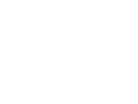 Paradigm Fursuits